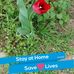 Dianne Suggs - Facebook