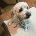 Dianne Summers - Facebook
