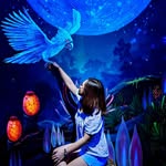 Dianne Rose Swift - @dnnsft - Instagram