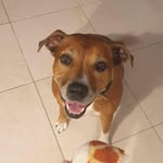 Dianne Swift - @dianneswift64 - Instagram