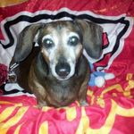 Diane Terrell - @dianeheaterterrell - Instagram