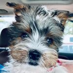 Dianne Terrell - @terrell6169 - Instagram
