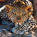 Dianne Turner - Facebook
