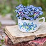 Dianne Turner - Facebook