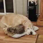 Dianne Tyson - @dianne.tyson.904 - Instagram