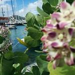 Dianne Wall Keech - @diannekeech - Instagram