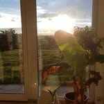 Diane Weiss Desponds - @diane_weissdesponds - Instagram