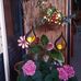 Dianne Williamson - Facebook