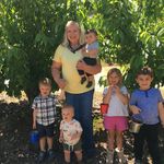 Dianne Williamson - @dianne3w - Instagram