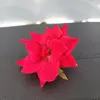 Dianne Williamson - @dianne.williamson - TikTok