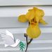 Dianne Williamson - Facebook