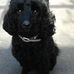 Dianne Worrell - Facebook