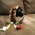 Dianne Worrell - @dianneworrell - Instagram