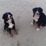 Diarmuid Murphy - @diarmuid4837 - Instagram