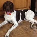 Dick Beard - @pheasantpoint - Instagram