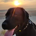 Dick Ben - @bpetitprez - Instagram