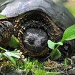 Dick Bergstrom - @dickbergstrom - Instagram