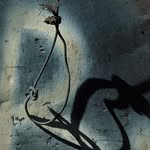 Dick Busher - @dickbusher - Instagram