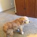 Dick Campbell - Facebook