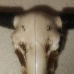 Dick Coleman - @dick.coleman.501 - Instagram