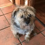 Dick Cooper - @dickcooper56 - Instagram