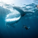 Dickie Goddard - @dickie.goddard - Instagram