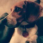 Sir Richard Hoover Weinberger - @richard_dick_weinberger - Instagram