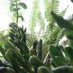 dick jones - @dickyjonespogler - Instagram