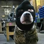 Dick Jones - @iowawillnotcomply - Instagram
