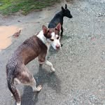 Dick Mills - @ironcore324 - Instagram