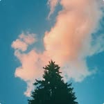 Dick Murray - @sagungreshqav - Instagram