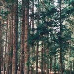 Omur Oztonga 2 - @dickmurray_683864 - Instagram