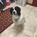 Dick Neff - Facebook