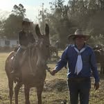 Norton Dickmann - @dickmannnorton - Instagram