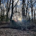 R.Oakley - @dickoakley - Instagram