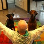 Dick Schäfer - @dick_schaefer - Instagram