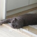 Dick Tong - @oohoohah - Instagram