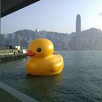 Dick Tong - @47.519885 - Instagram