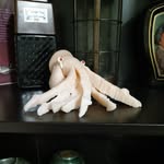 @dicktopus - Instagram