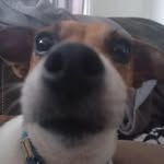 charterstowers dick heads - @charterstowersdicks - Instagram