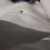 Duc Tran - Facebook