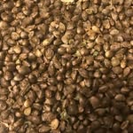 Dick Trickle - @thebeanbasement - Instagram