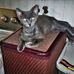 Richard Trout - Facebook