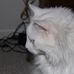 Dick Tucker - Facebook