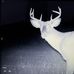 Dick Turner - Facebook