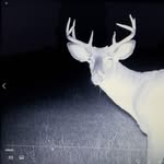 Dick Turner - @dick.turner.904 - Instagram