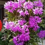 Dick Rafael Reyes Vargas - @dickrafael1 - Instagram