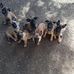 Dick Verheul - Facebook
