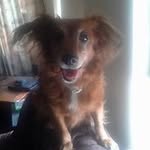 Dick Verheul - @dickverheul - Instagram