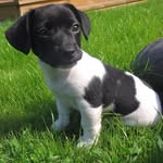 Dick Watkins - @maneyboneka38 - Instagram